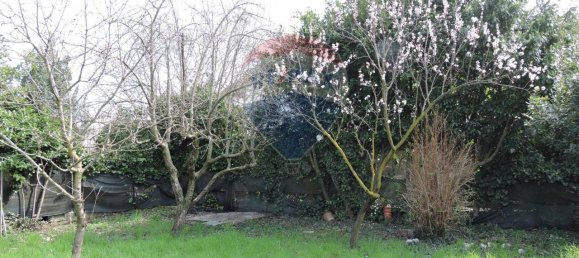 7 rooms Villa in Villar Dora, Italy No. 12800 15