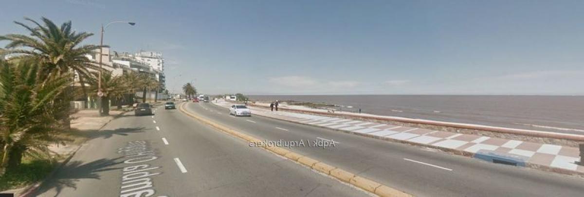استوديو في Montevideo, Uruguay رقم 9038