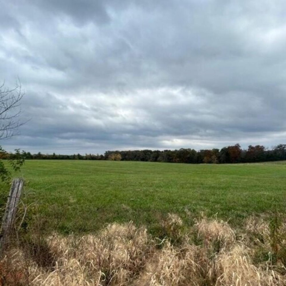  Land in Hartsburg, USA No. 554305