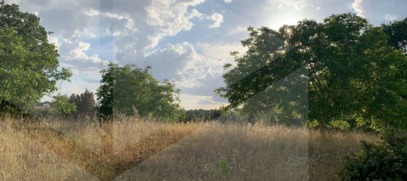 3 Schlafzimmer Villa in Monopoli, Italy, Nr. 28464 20