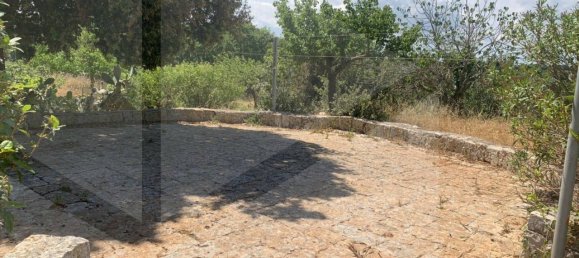 3 Schlafzimmer Villa in Monopoli, Italy, Nr. 28464 16