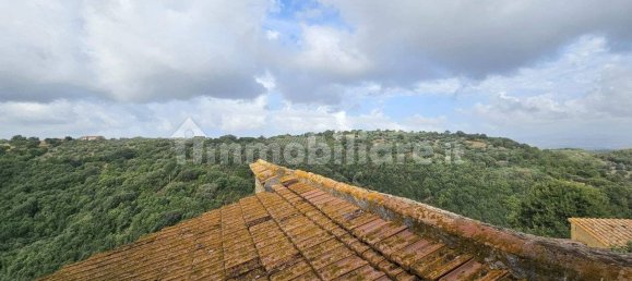 2 غرف نوم منزل في Scansano, Italy رقم 323851 37