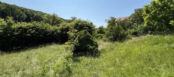 Земельный участок 1771м² в Мауэрбах, Австрия № 155822 11