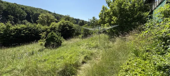 Земельный участок 1771м² в Мауэрбах, Австрия № 155822 8