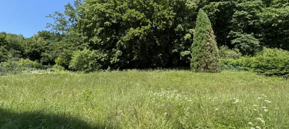 Земельный участок 1771м² в Мауэрбах, Австрия № 155822 2