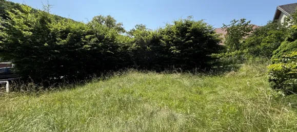 Земельный участок 1771м² в Мауэрбах, Австрия № 155822 13