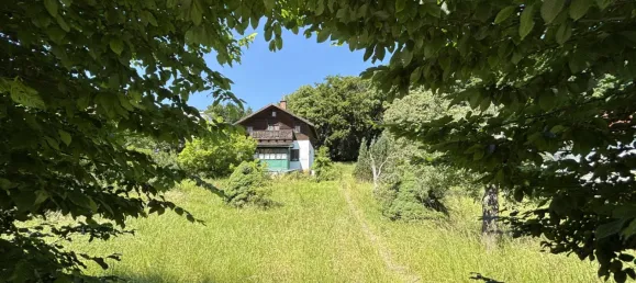 Земельный участок 1771м² в Мауэрбах, Австрия № 155822 4