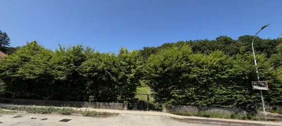 Земельный участок 1771м² в Мауэрбах, Австрия № 155822 5