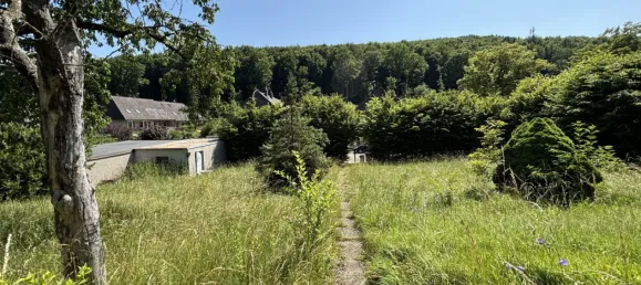 Земельный участок 1771м² в Мауэрбах, Австрия № 155822 9