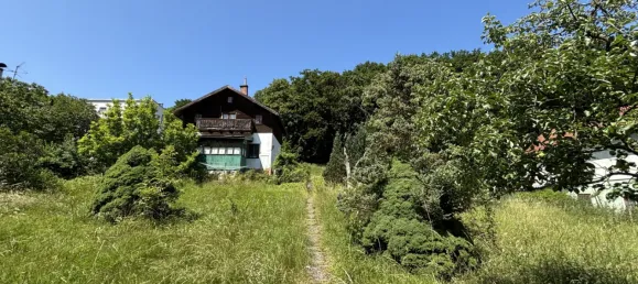 Земельный участок 1771м² в Мауэрбах, Австрия № 155822 3