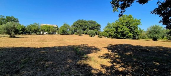 10 غرف نوم فيلا في Vacri, Italy رقم 334459 5