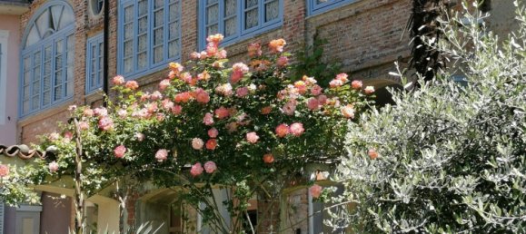 Edificio de 10 dormitorios en Romano Canavese, Italy No. 345786 37