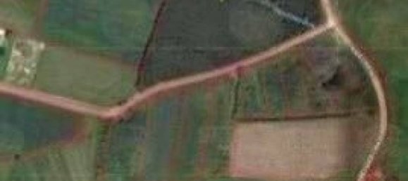 Propriété commerciale à Chon Buri, Thailand 25600m² No. 16085 3