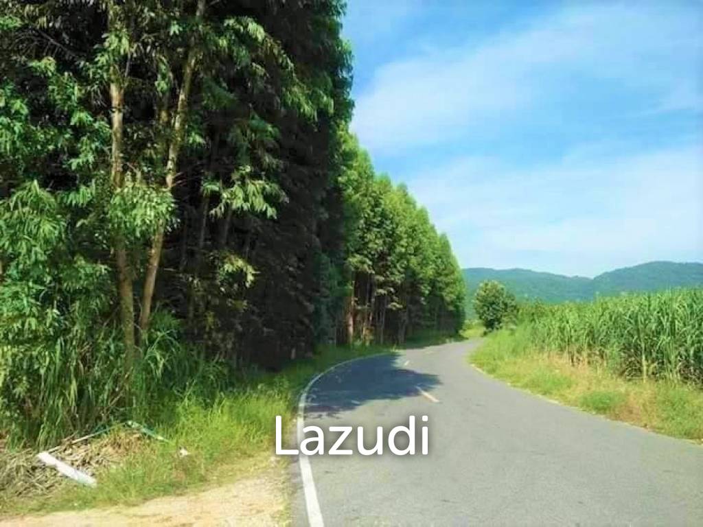 Propriété commerciale à Chon Buri, Thailand 25600m² No. 16085