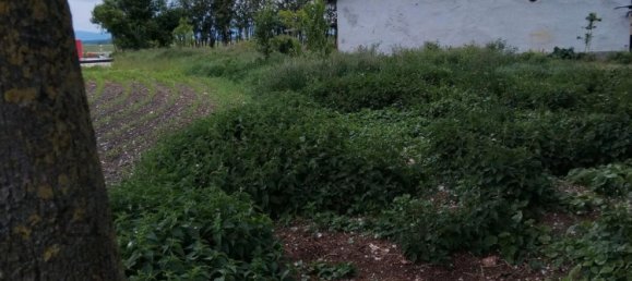 4 Schlafzimmer Grundstück in Dingolfing-Landau, Germany, Nr. 292552 7