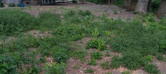 4 Schlafzimmer Grundstück in Dingolfing-Landau, Germany, Nr. 292552 8