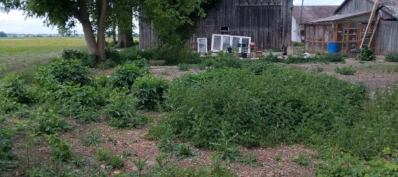 4 Schlafzimmer Grundstück in Dingolfing-Landau, Germany, Nr. 292552 16