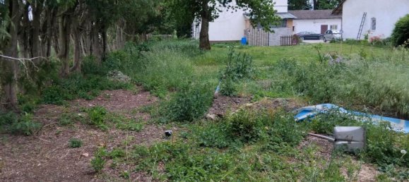 4 Schlafzimmer Grundstück in Dingolfing-Landau, Germany, Nr. 292552 15