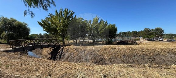 2 bedrooms Apartment in Setubal, Portugal No. 195368 24