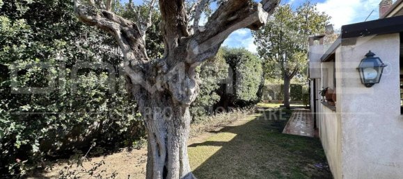 Villa de 12 habitaciónes en San Giovanni la Punta, Italy No. 92211 20