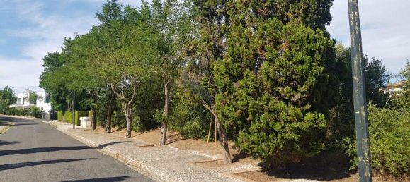  Land in Sintra, Portugal No. 135681 12