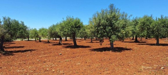 Grundstück in Polignano a Mare, Italy, Nr. 371949 6