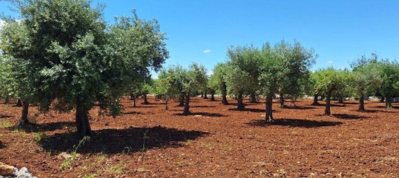 Grundstück in Polignano a Mare, Italy, Nr. 371949 4