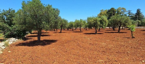 Grundstück in Polignano a Mare, Italy, Nr. 371949 9