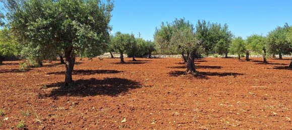 Grundstück in Polignano a Mare, Italy, Nr. 371949 7