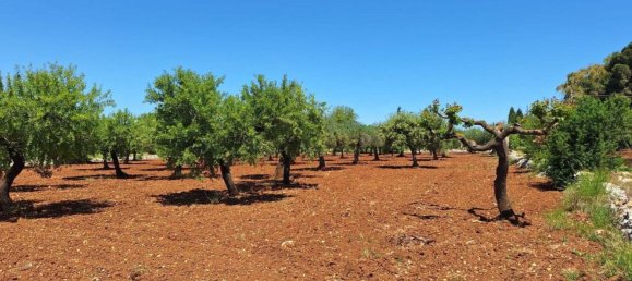Grundstück in Polignano a Mare, Italy, Nr. 371949 2