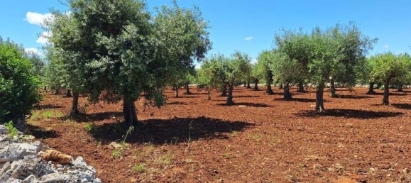 Grundstück in Polignano a Mare, Italy, Nr. 371949 3