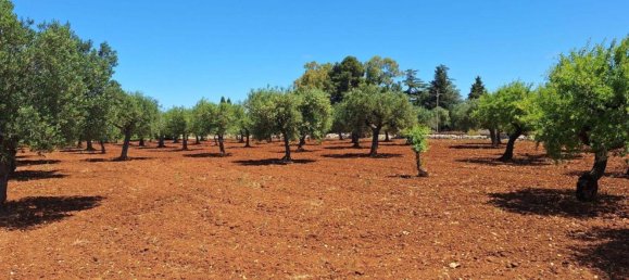 Grundstück in Polignano a Mare, Italy, Nr. 371949 8