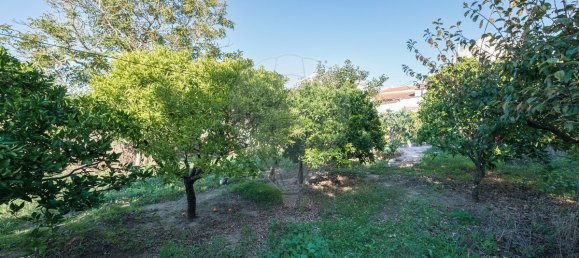 5 bedrooms House in Obidos, Portugal No. 20301 2