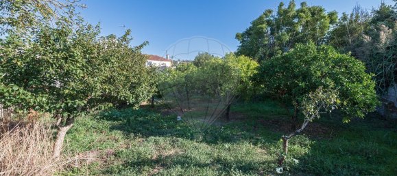 5 bedrooms House in Obidos, Portugal No. 20301 46