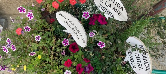  Land in Miranda do Douro, Portugal No. 87987 16