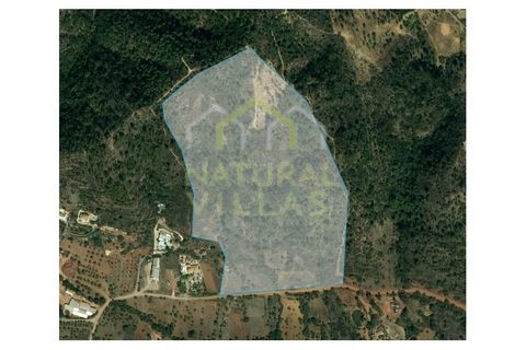 Terreno em São Brás de Alportel, Portugal N.º 220125