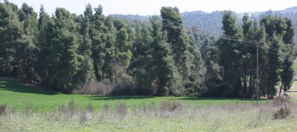 8500m² Hotel in Chalkidiki, Greece No. 7967 4