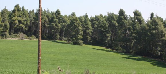 8500m² Hotel in Chalkidiki, Greece No. 7967 2