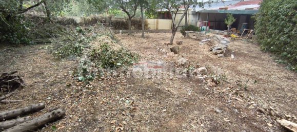 2 bedrooms House in Cassano delle Murge, Italy No. 301814 22