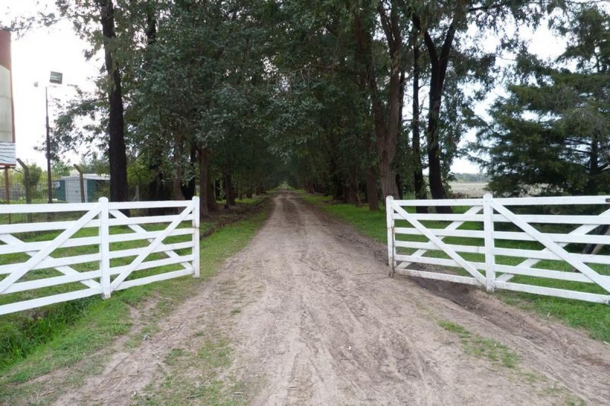  Land in Exaltacion de la Cruz, Argentina No. 48757