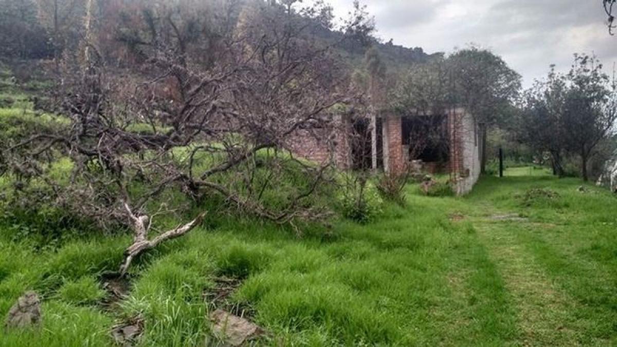 Grundstück in Texcoco de Mora, Mexico, Nr. 206766