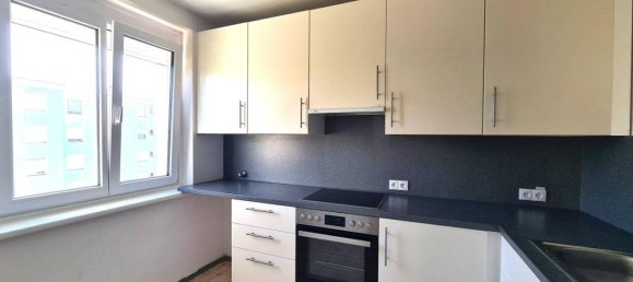 2 rooms Apartment in Guntramsdorf, Austria No. 250739 13