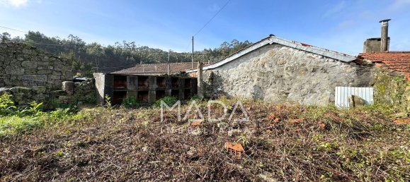 15 bedrooms House in Guimaraes, Portugal No. 32087 3