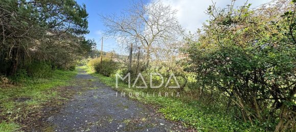 15 bedrooms House in Guimaraes, Portugal No. 32087 9