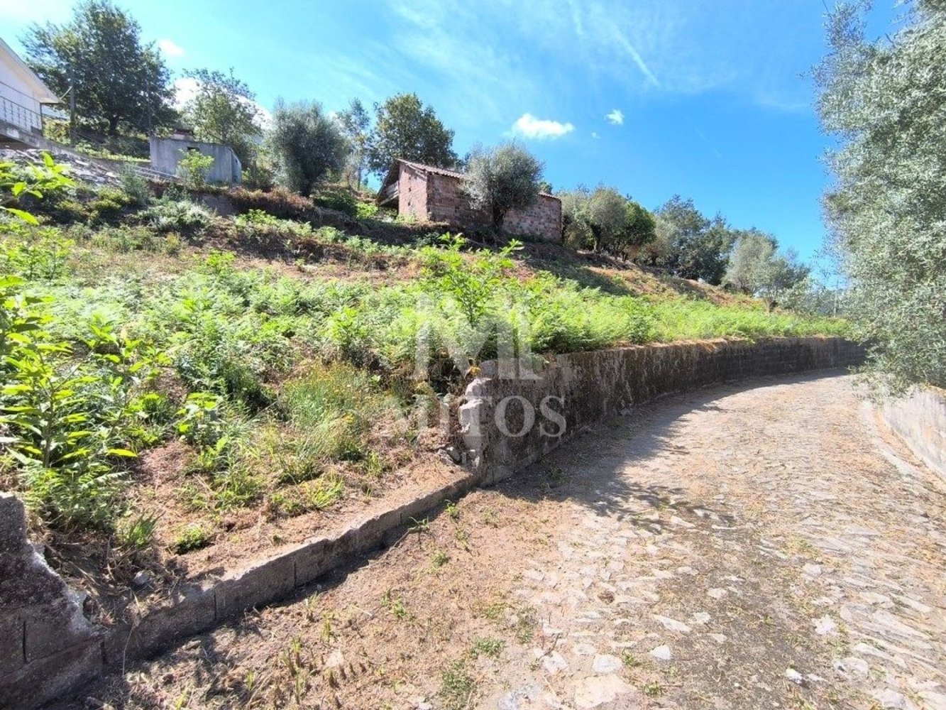  Land in Viana do Castelo, Portugal No. 274229