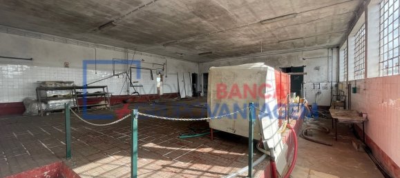  عقار تجاري في Avis, Portugal 593متر مربع رقم 13186 25