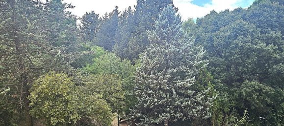 2 bedrooms Apartment in Montpellier, France No. 318299 8