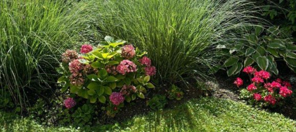 2 Schlafzimmer Wohnung in Wiesbaden, Germany, Nr. 229751 17