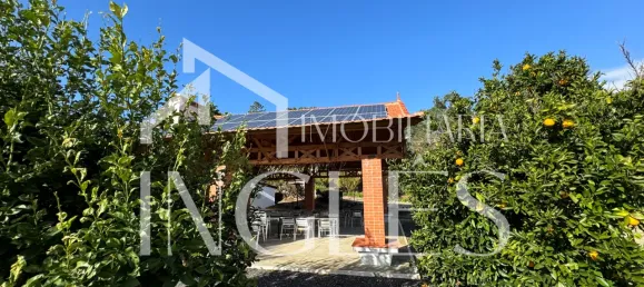 11 bedrooms House in Almeirim, Portugal No. 63118 47