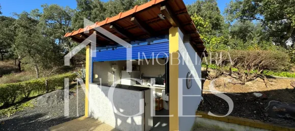 11 bedrooms House in Almeirim, Portugal No. 63118 48